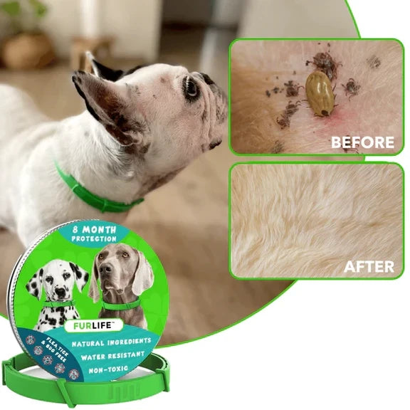 FurLife™ 8 Months Flea and Tick Free - PawsMagics