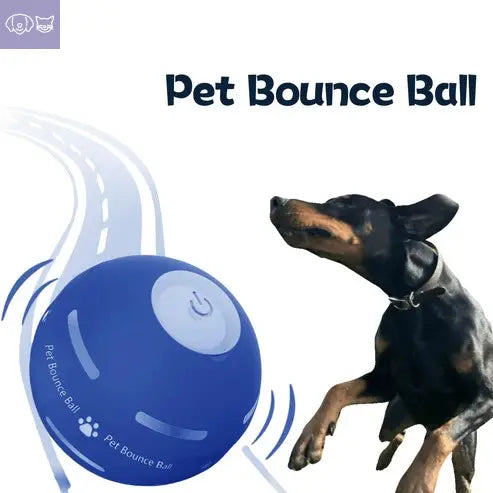 ✨2025 ✨New release - Pet Bounce Ball PawsMagics