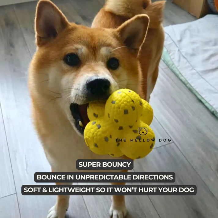 Calming Ball