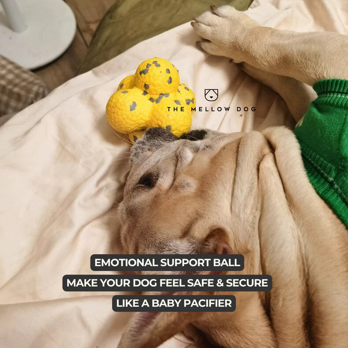 Calming Ball