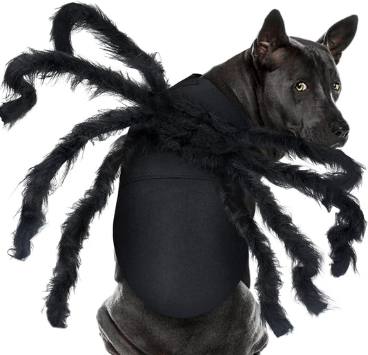 Pet Spider Costume - Halloween Spider Costume for Cats and dogs