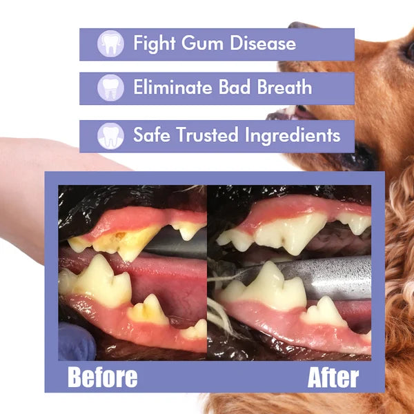 Teeth Cleaning Spray for Pet, Eliminate Bad Breath, Targets Tartar & Plaque - PawsMagics