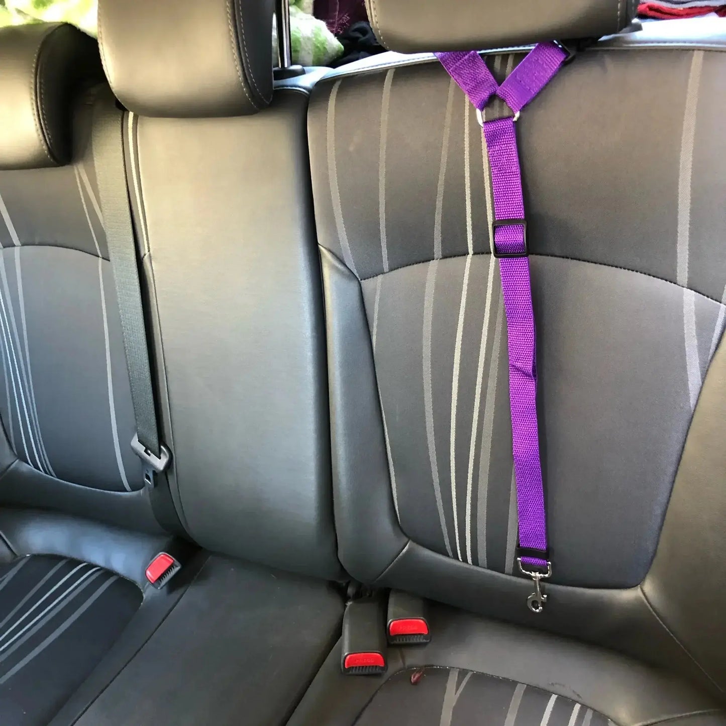 Adjustable Car Dog Leash PawsMagics