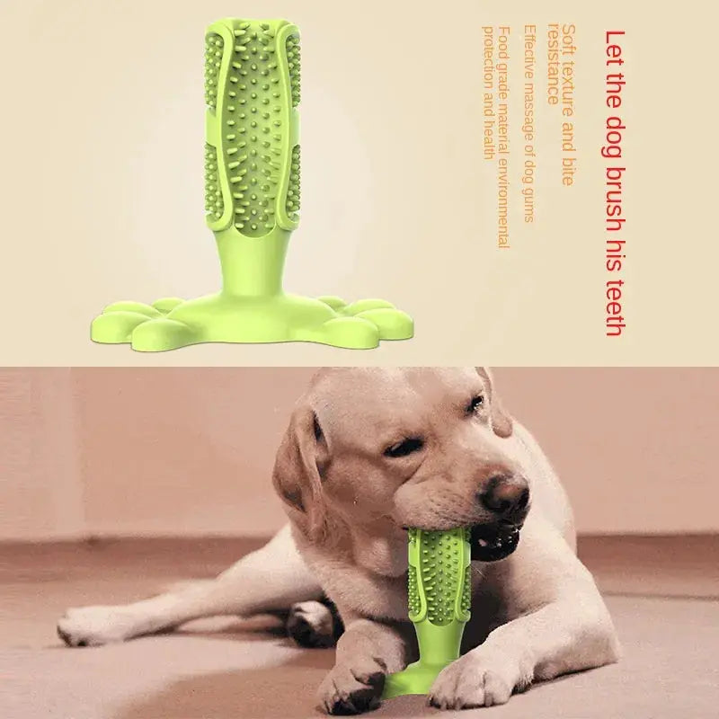 CalmingTeeth - Dog toy and toothbrush, all in one! - PawsMagics