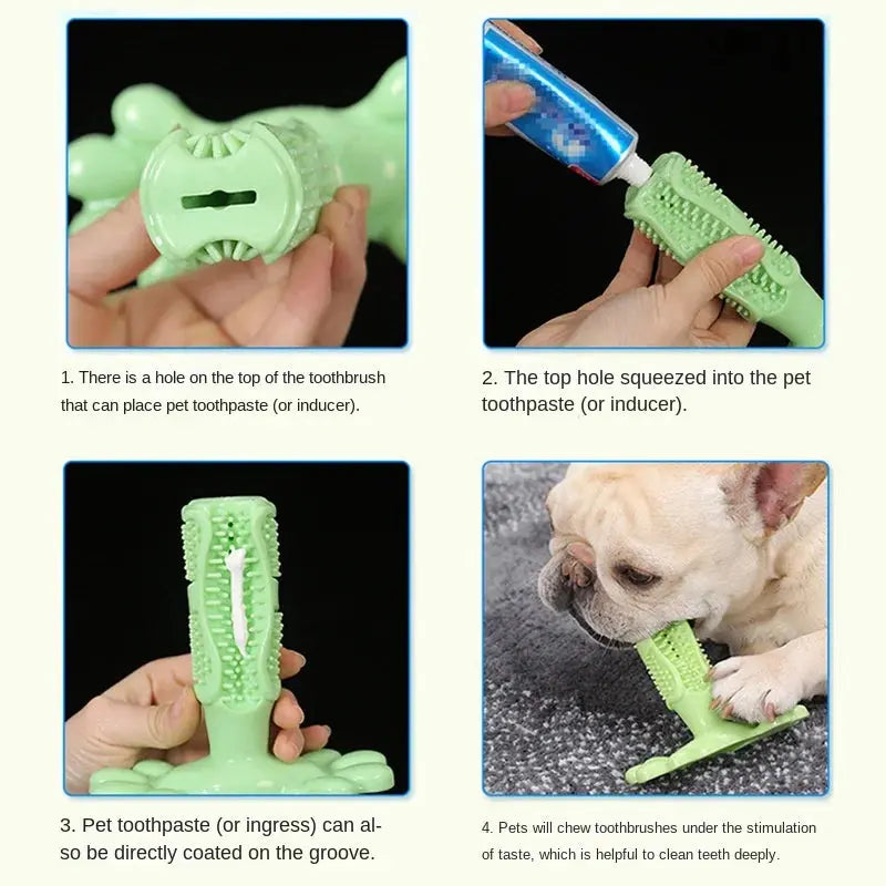 CalmingTeeth - Dog toy and toothbrush, all in one! - PawsMagics