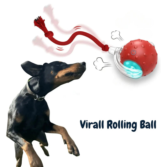 Chewie Viral Rolling Ball PawsMagics