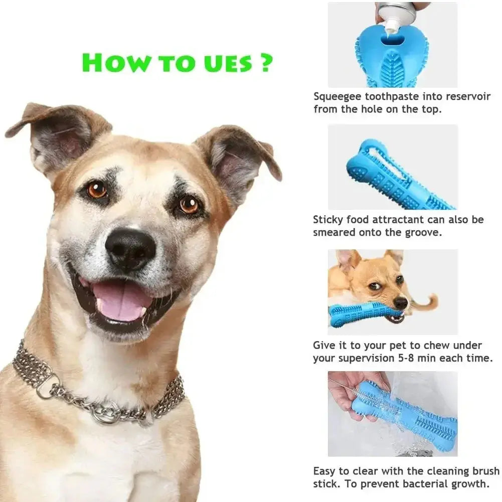 Dog Bone Toothbrush Cleaning - PawsMagics