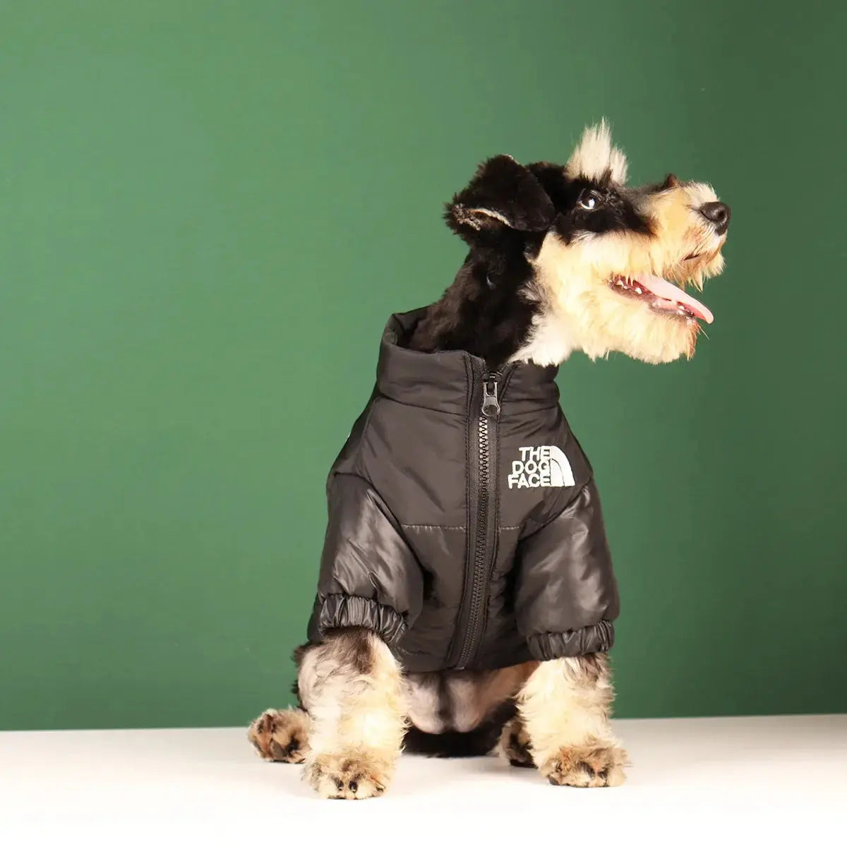 Dog Face Puffer Jacket - PawsMagics