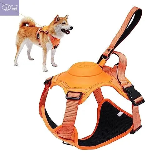 Dog Harness and Retractable Leash Set All-in-One - PawsMagics