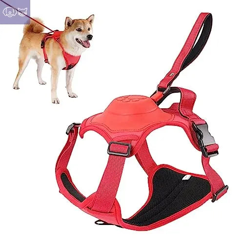 Dog Harness and Retractable Leash Set All-in-One - PawsMagics