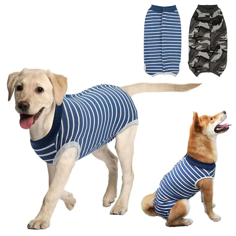 Dog Recovery Suit for Abdominal Wounds – Anti-Licking Onesie PawMoon