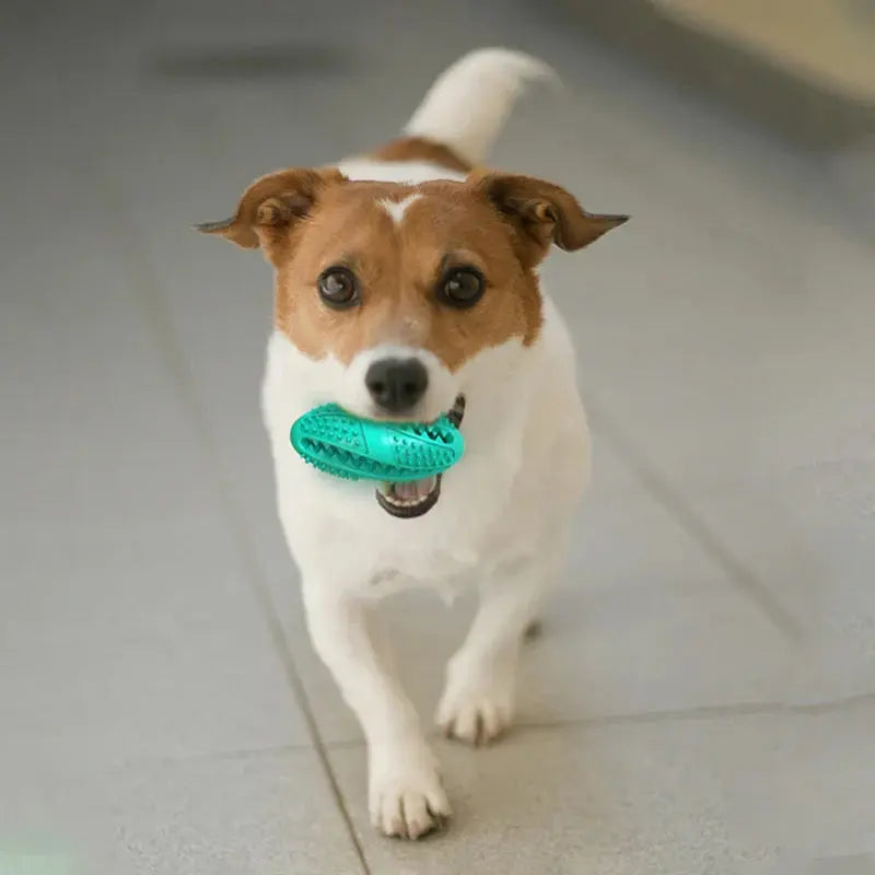 EZCHEW Natural Rubber Chew Toy - PawsMagics