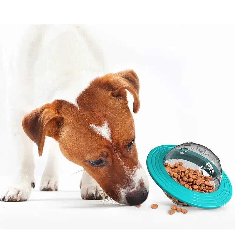 Flying Saucer Dog Game Slow Food Feeder - PawsMagics