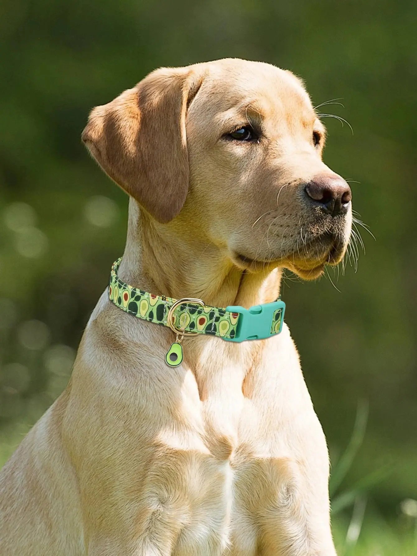 Fruit Pattern Dog Collar with Metal Pendant – Stylish & Comfortable PawsMagics