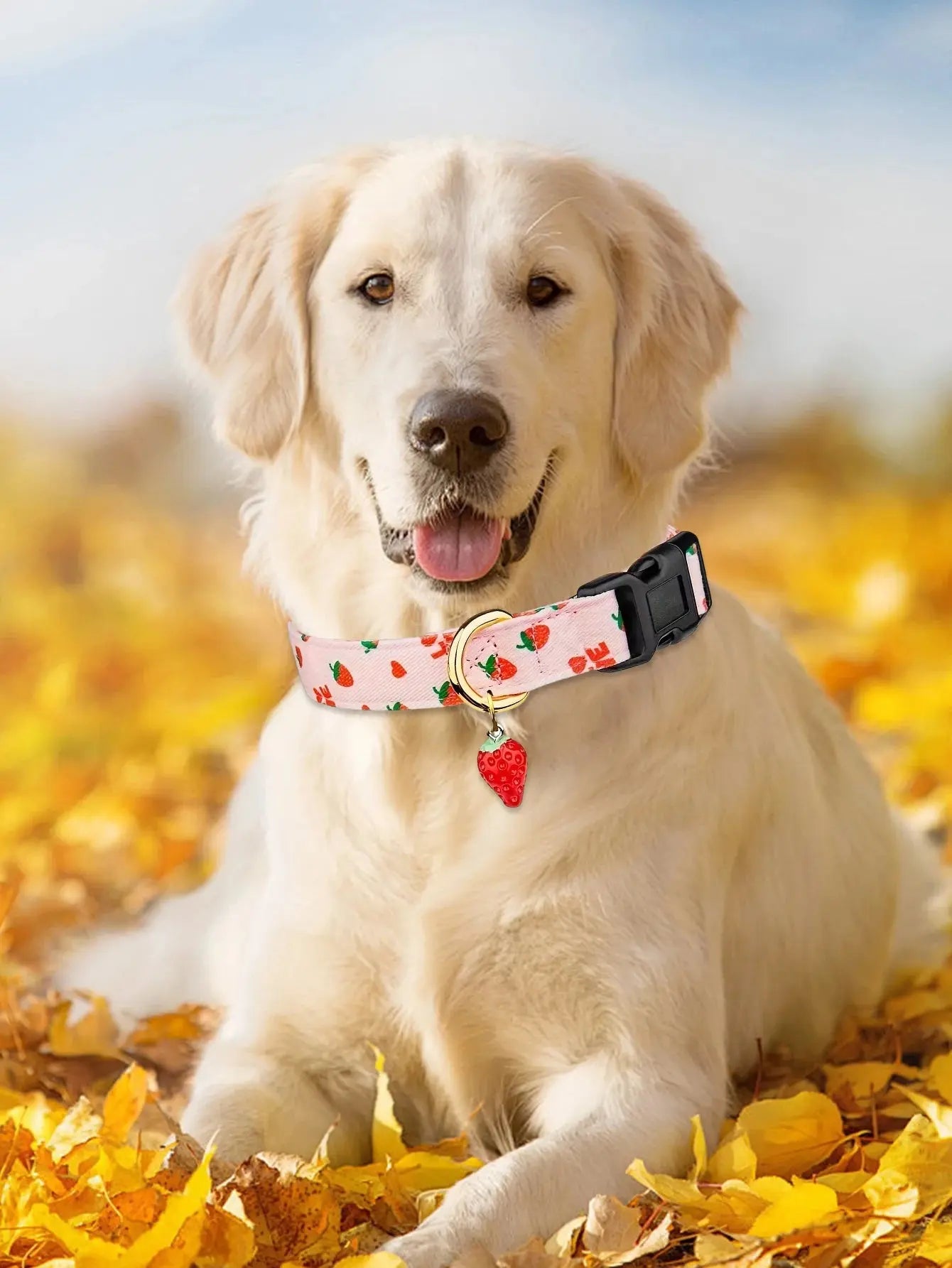 Fruit Pattern Dog Collar with Metal Pendant – Stylish & Comfortable PawsMagics