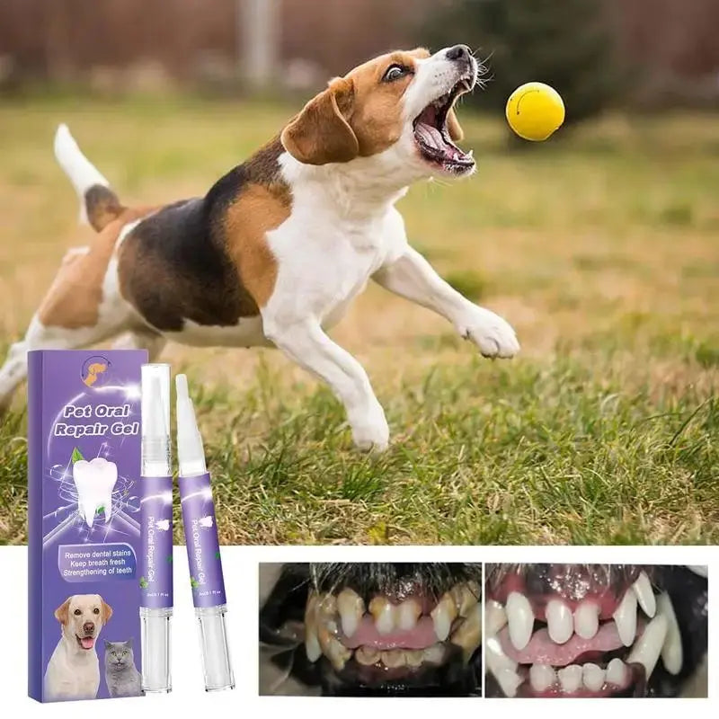 GloPet™ Pet Oral Repair Gel - PawsMagics