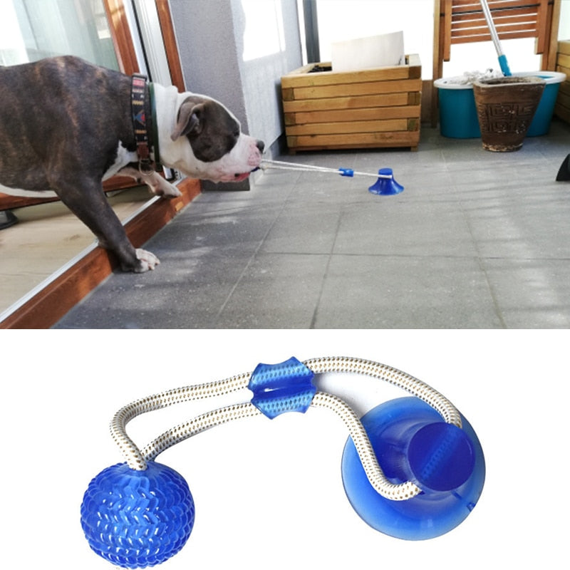 Multifunction Pet Molar Bite Toy - PawsMagics