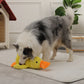 Quack-Quack Duck Dog Toy - PawsMagics