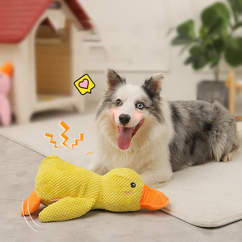 Quack-Quack Duck Dog Toy - PawsMagics