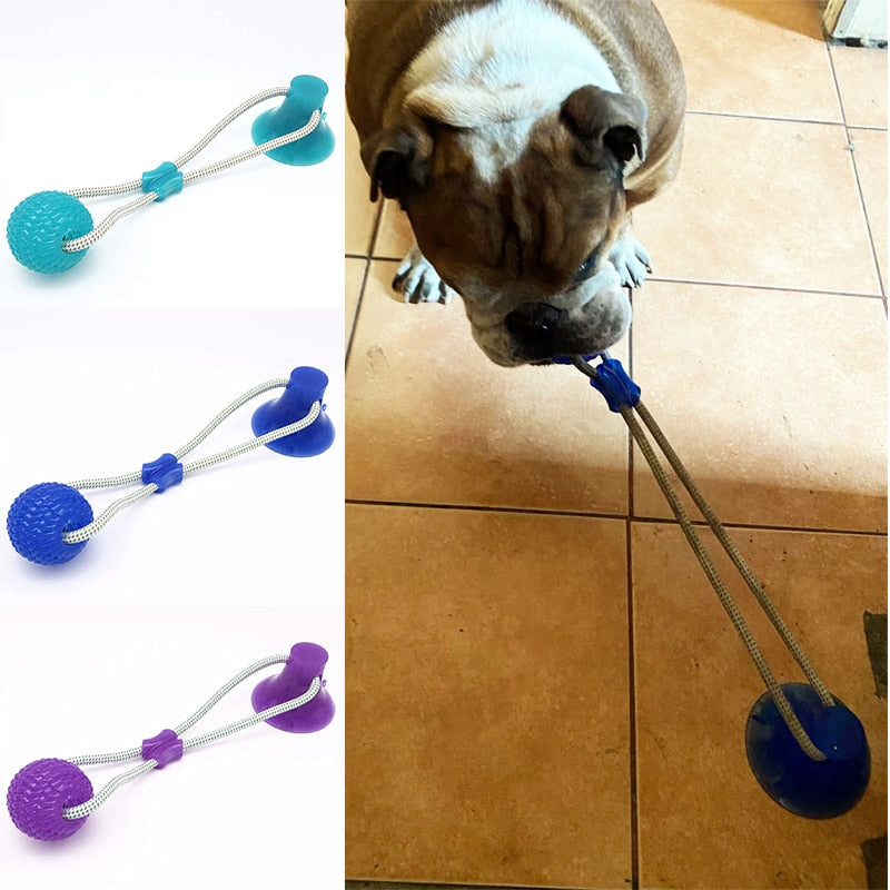 Multifunction Pet Molar Bite Toy - PawsMagics