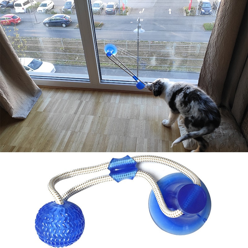 Multifunction Pet Molar Bite Toy - PawsMagics