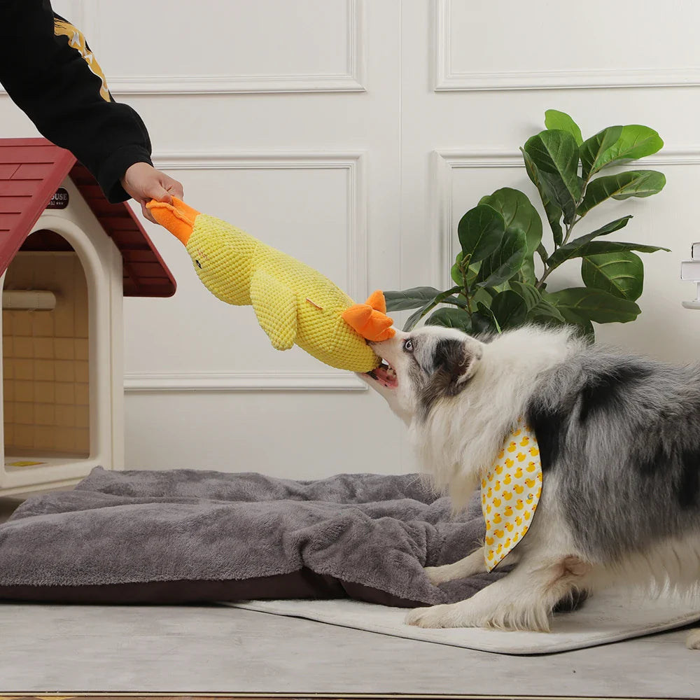 Quack-Quack Duck Dog Toy - PawsMagics