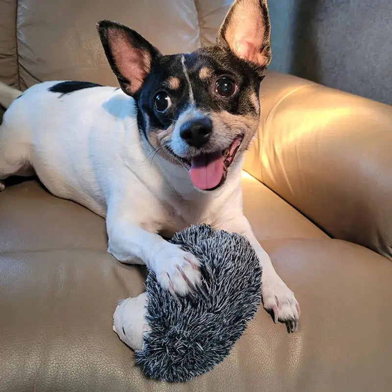 Hedgehog™ - Immortal Squeaker Plush Toy For Aggressive Chewers - PawsMagics