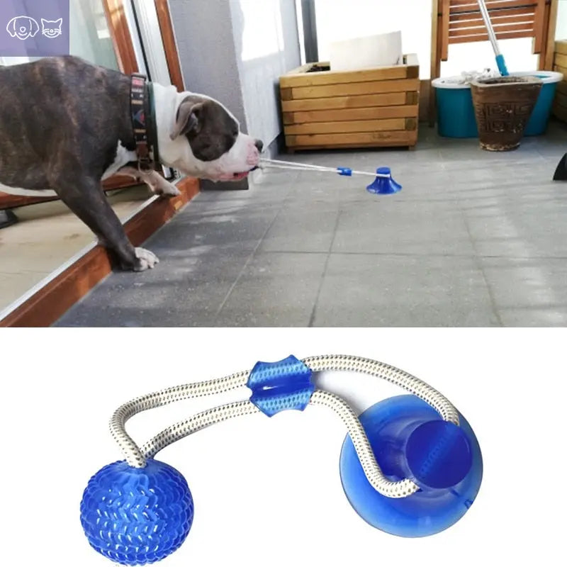 Multifunction Pet Molar Bite Toy - PawsMagics