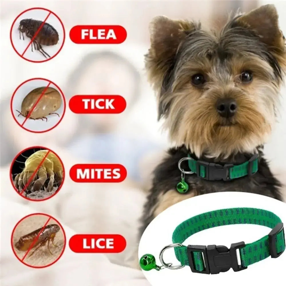 Nylon Adjustable Kill Insect Mosquitoes Insecticidal Dog Collar Neck Strap Pet Suppies Anti Flea Mite Tick PawsMagics