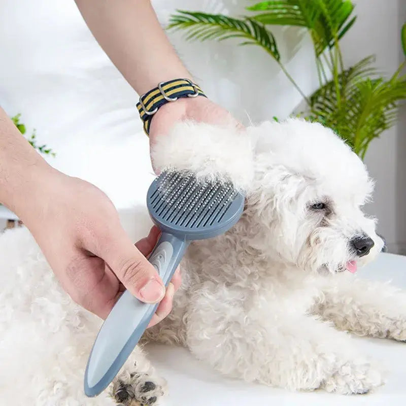 PET SELF-CLEANING NEEDLE COMB PawsMagics