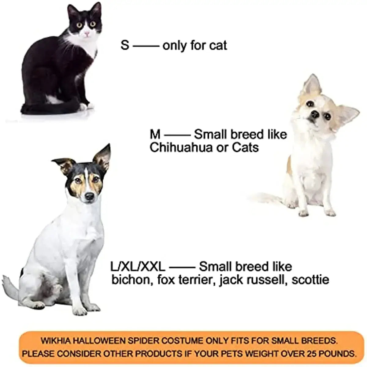 Pet Spider Costume - Halloween Spider Costume for Cats and dogs PawsMagics