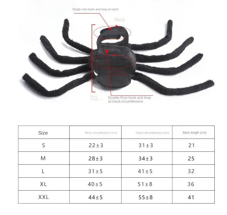 Pet Spider Costume - Halloween Spider Costume for Cats and dogs PawsMagics