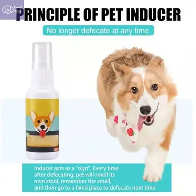 Pet Training Spray PawsMagics