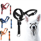 QuickEase Head Halter Muzzle | Anti-Bite & No-Pull Control PawsMagics