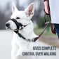 QuickEase Head Halter Muzzle | Anti-Bite & No-Pull Control PawsMagics