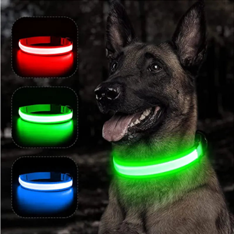 USB RECHARGEABLE LED GLOWING DOG COLLAR - PawsMagics