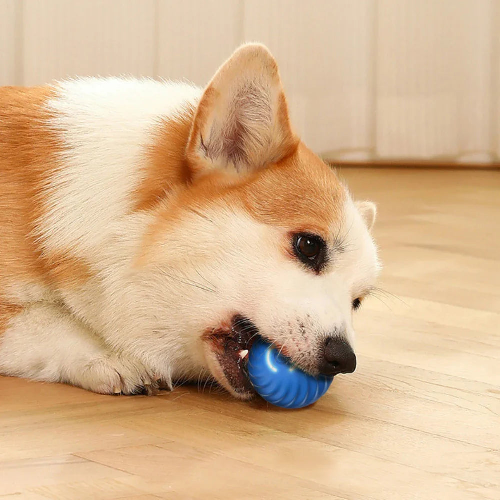 Automatic Smart Teasing Dog Ball🐶 - PawsMagics