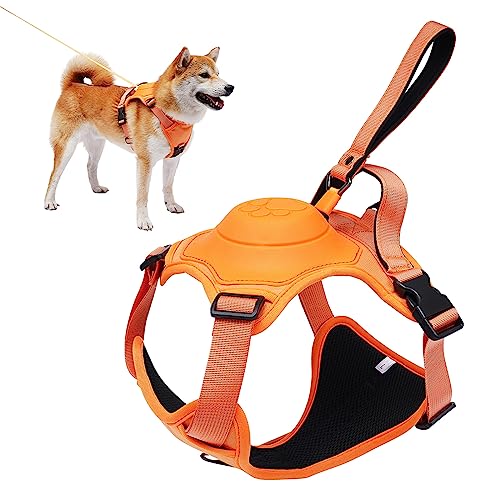 Dog Harness and Retractable Leash Set All-in-One - PawsMagics