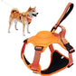 Dog Harness and Retractable Leash Set All-in-One - PawsMagics