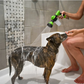 Foam dog sprayer - PawsMagics