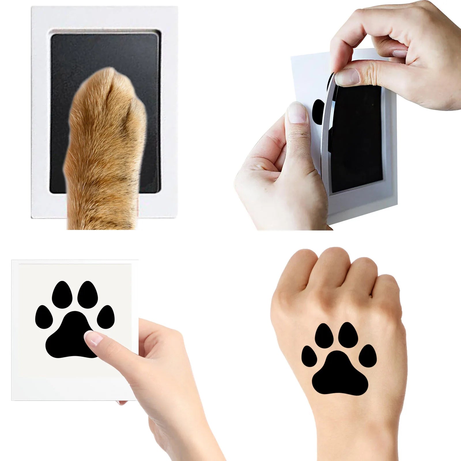 ☑️Paw Print Stamp Pad - PawsMagics