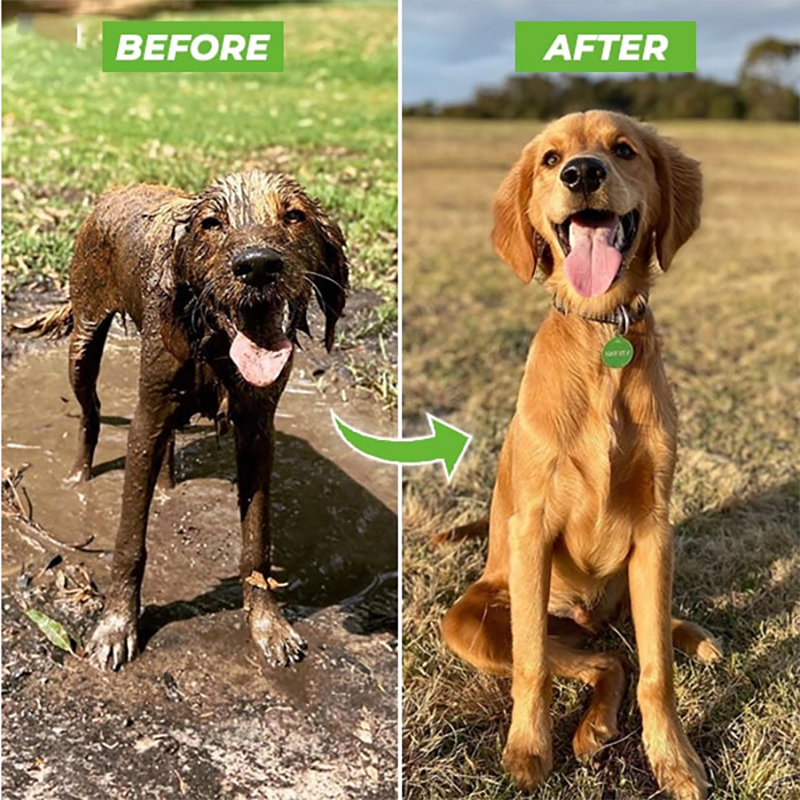 Foam dog sprayer - PawsMagics