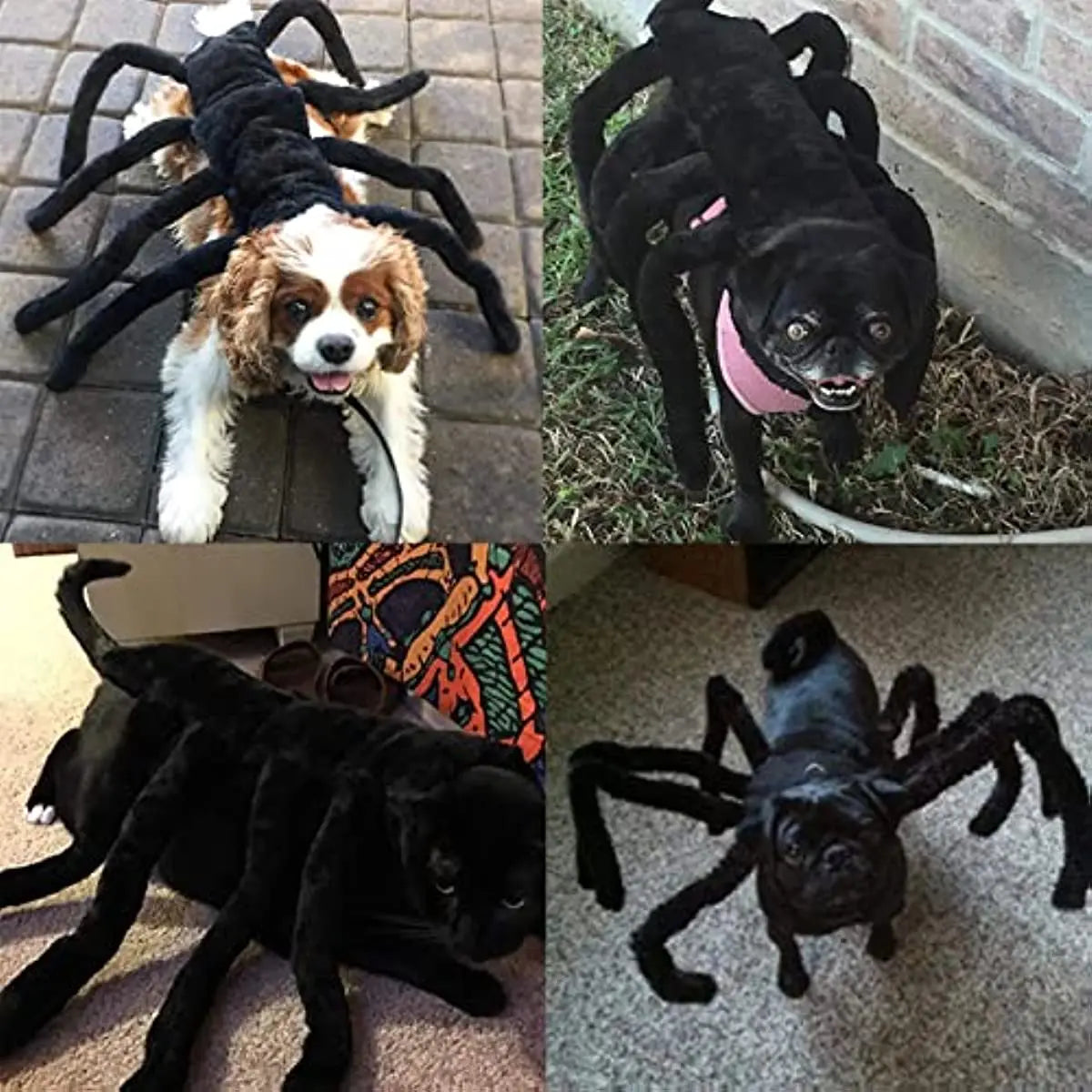 Pet Spider Costume - Halloween Spider Costume for Cats and dogs