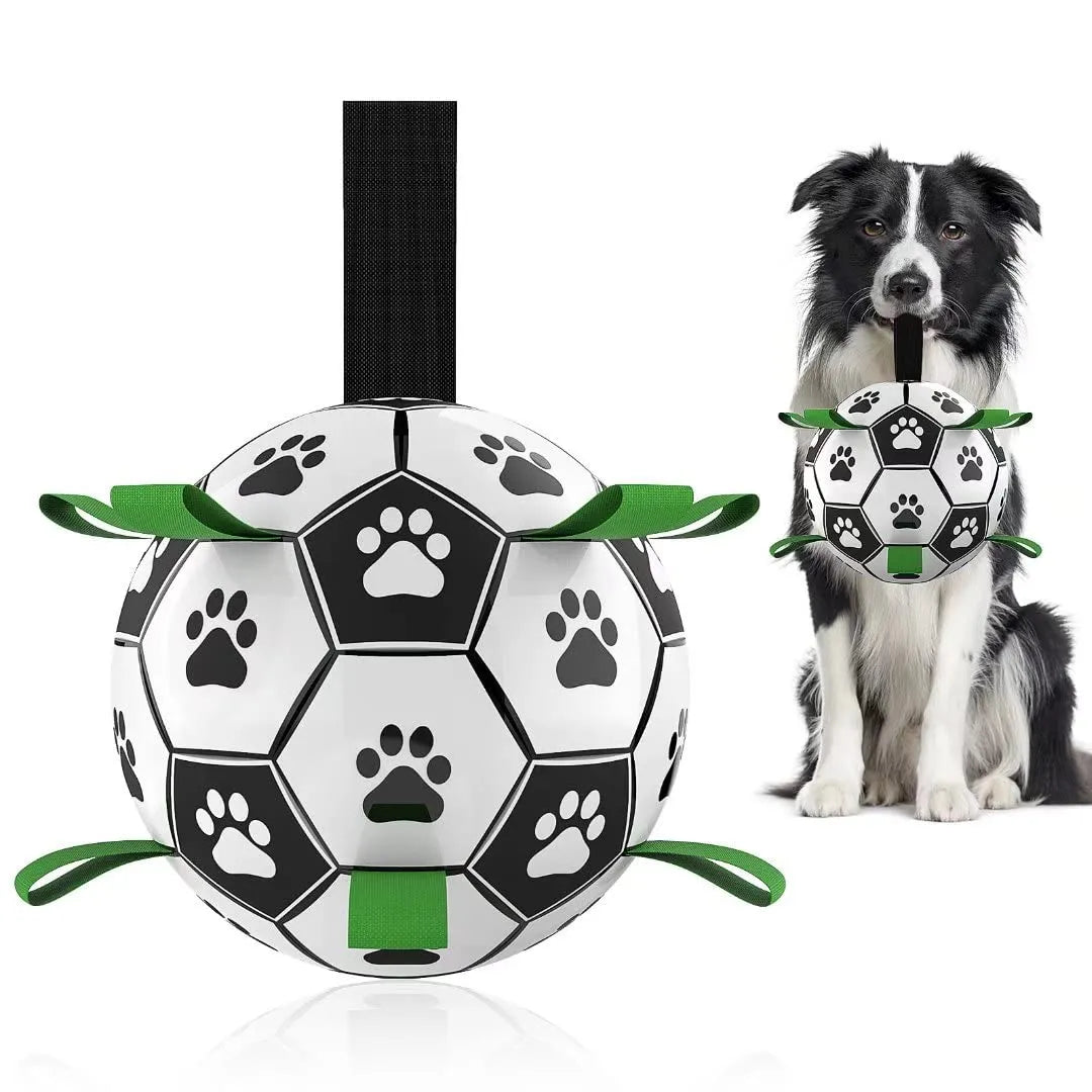 The Dog Ball - PawsMagics