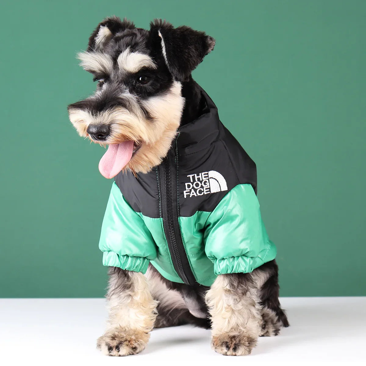 Dog Face Puffer Jacket - PawsMagics