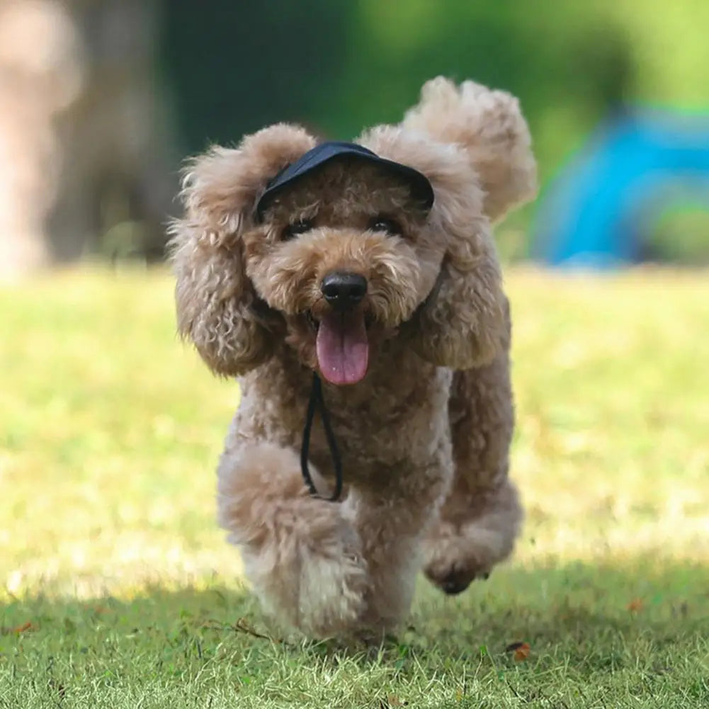 🔥Outdoor Sun Protection Hood For Dogs