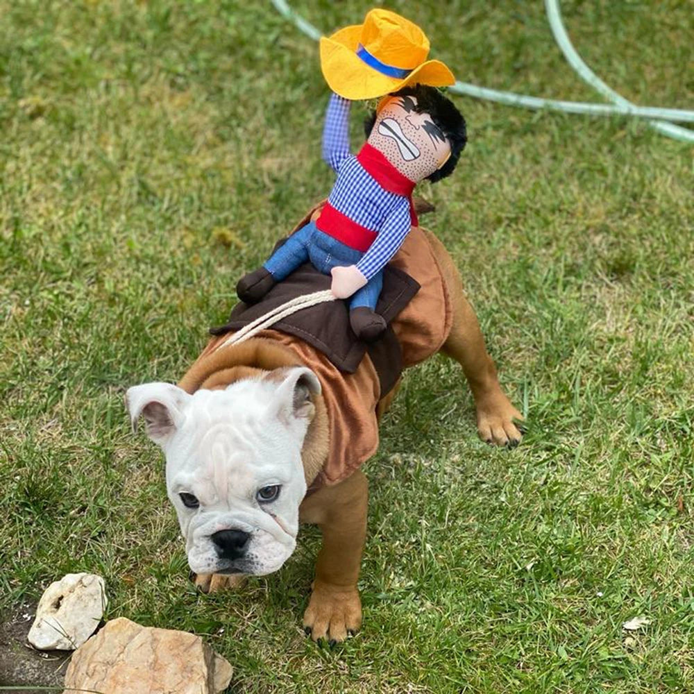 Dog Cowboy Costume