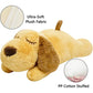 HEARTBEAT CALMING PET TOY - PawsMagics