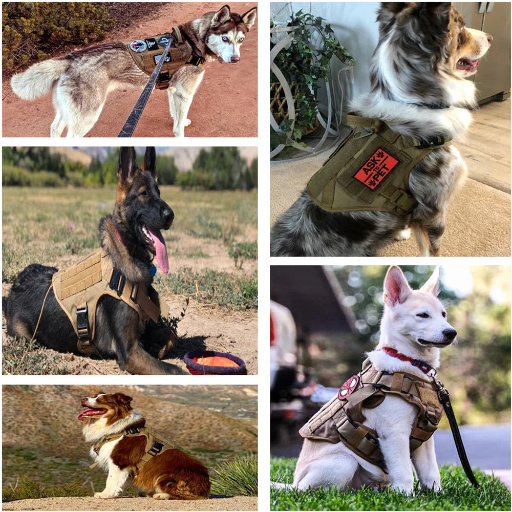 Military Large Dog Durable Harness K9 - PawsMagics