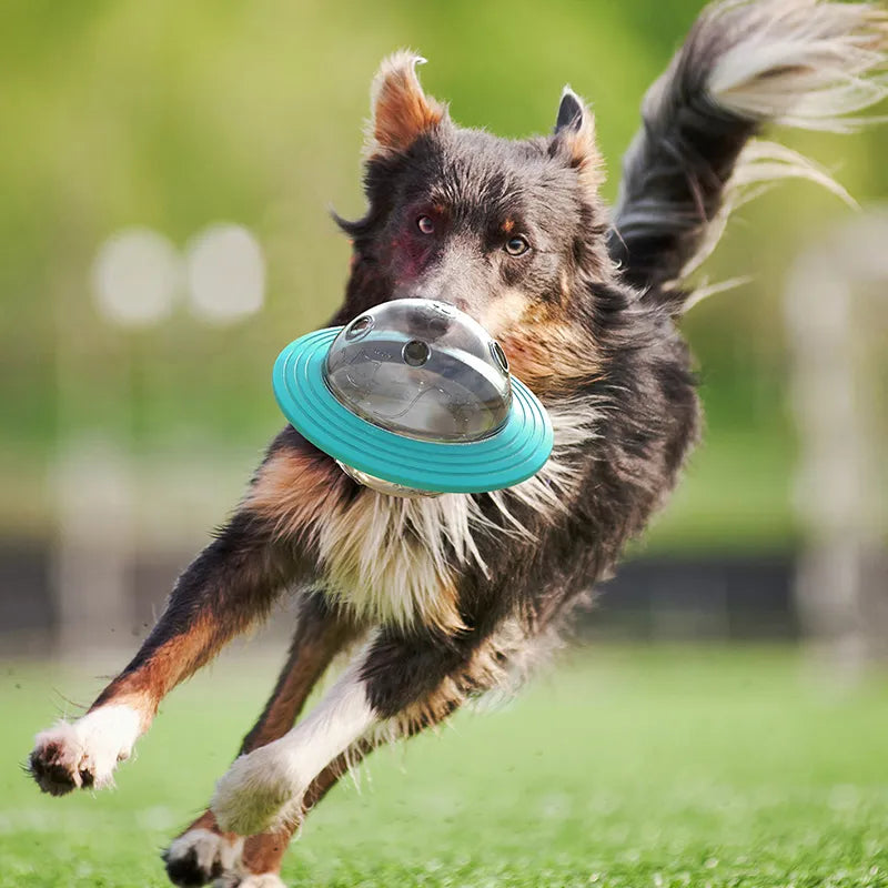 Flying Saucer Dog Game Slow Food Feeder - PawsMagics